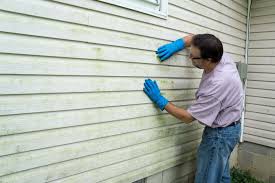 Best Storm Damage Siding Repair  in Sangaree, SC